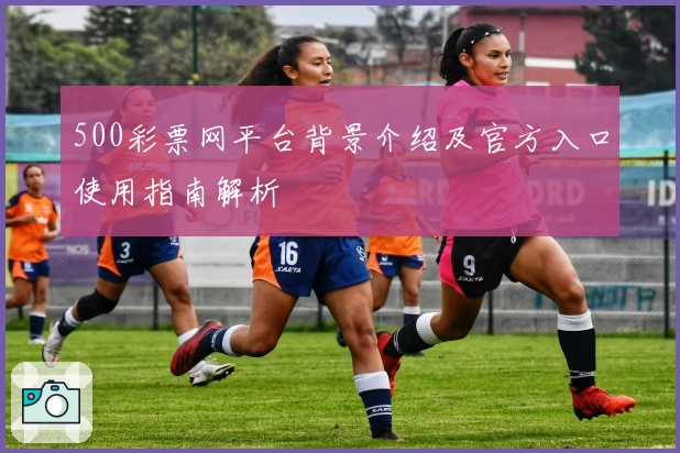 500彩票网平台背景介绍及官方入口使用指南解析